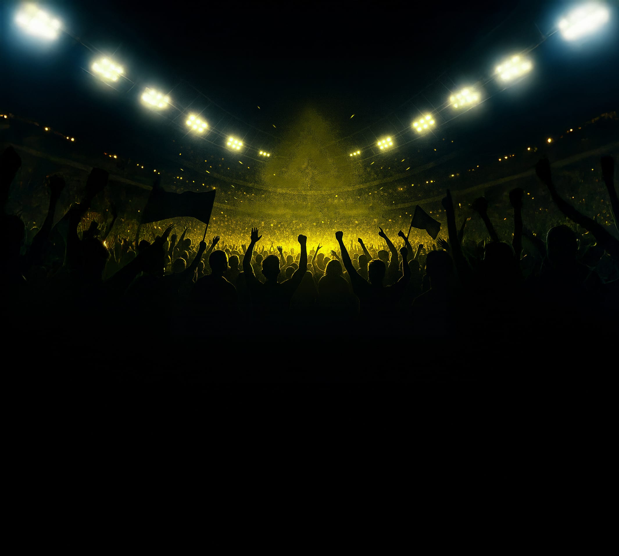 Stadium crowd background